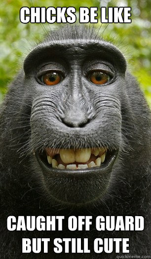 CHICKS BE LIKE CAUGHT OFF GUARD BUT STILL CUTE  Mindful Macaque