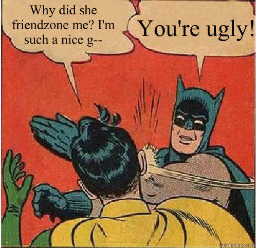 Why did she friendzone me? I'm such a nice g--  You're ugly!   Batman Slapping Robin