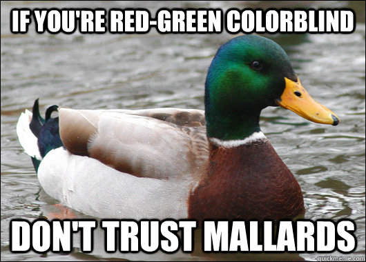 If you're red-green colorblind don't trust mallards - If you're red-green colorblind don't trust mallards  Actual Advice Mallard