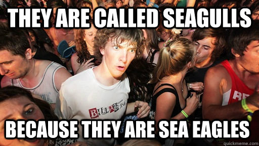 They are called SEAGULLS because THEY ARE SEA EAGLES  Sudden Clarity Clarence