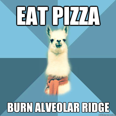 Eat pizza Burn alveolar ridge  Linguist Llama