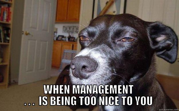 SKEPTICAL  -  WHEN MANAGEMENT . . .  IS BEING TOO NICE TO YOU Skeptical Mutt