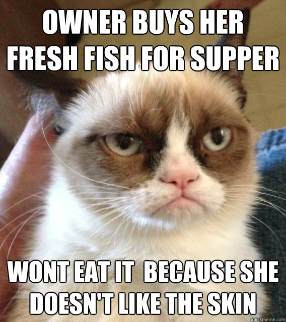 Owner buys her fresh fish for supper Wont eat it  because she doesn't like the skin - Owner buys her fresh fish for supper Wont eat it  because she doesn't like the skin  Misc