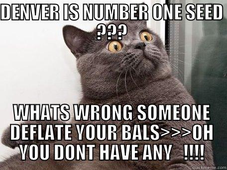 DENVER NUMBER ONE SEED - DENVER IS NUMBER ONE SEED ??? WHATS WRONG SOMEONE DEFLATE YOUR BALS>>>OH YOU DONT HAVE ANY   !!!! conspiracy cat