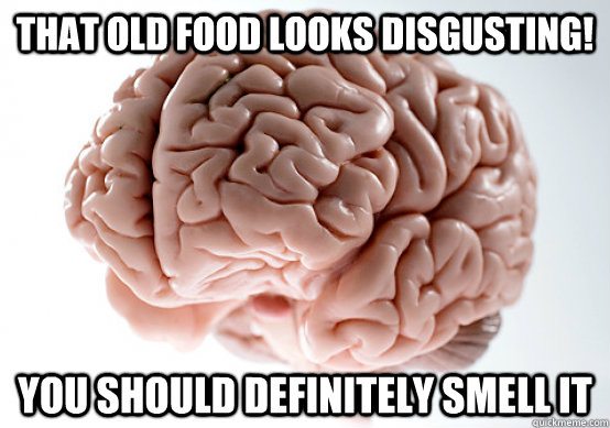 that old food looks disgusting! you should definitely smell it  Scumbag Brain make you late to work