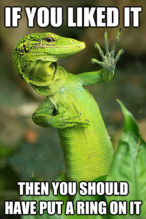 If you liked it then you should have put a ring on it  