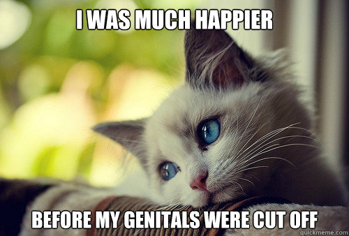 I was much happier before my genitals were cut off  First World Problems Cat