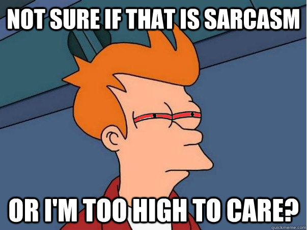 Not sure if that is sarcasm Or I'm too high to care? - Not sure if that is sarcasm Or I'm too high to care?  High Fry