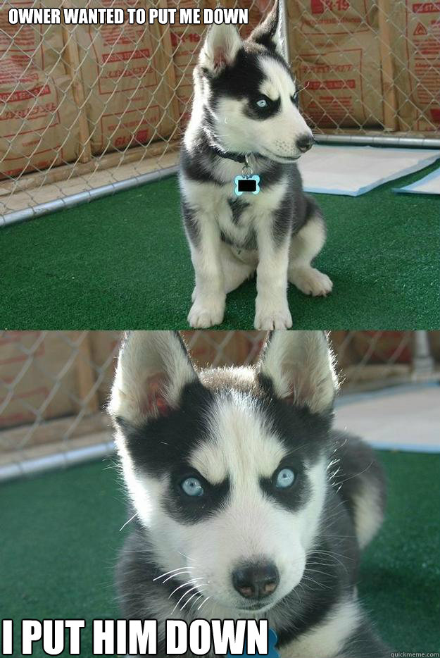 Owner wanted to put me down I put him down  Insanity puppy