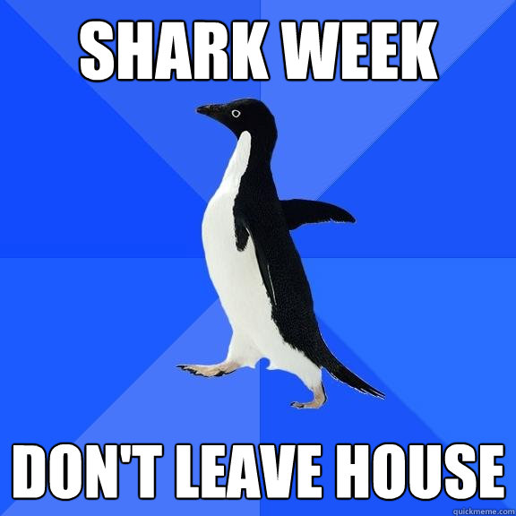 SHARK WEEK Don't leave house  Socially Awkward Penguin