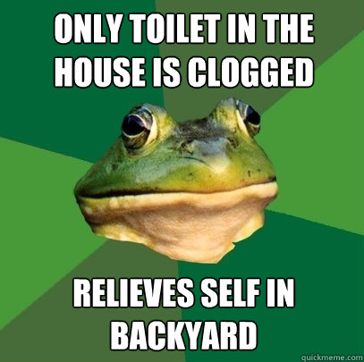 only toilet in the house is clogged relieves self in backyard  Foul Bachelor Frog