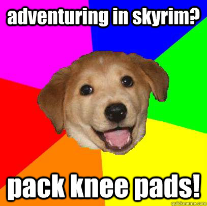 adventuring in skyrim? pack knee pads!  Advice Dog