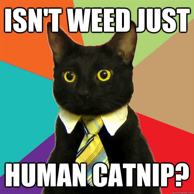 Isn't weed just human catnip? - Isn't weed just human catnip?  Business Cat