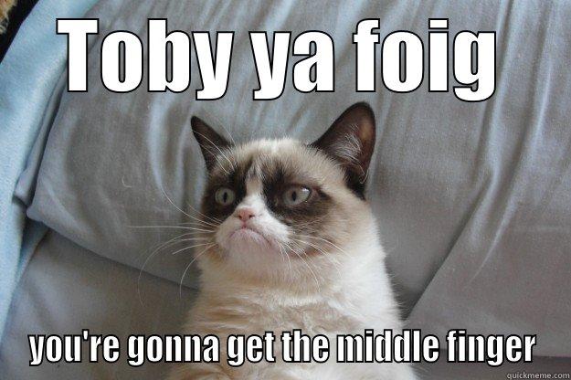 TOBY YA FOIG YOU'RE GONNA GET THE MIDDLE FINGER Grumpy Cat