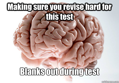Making sure you revise hard for this test Blanks out during test   Scumbag Brain