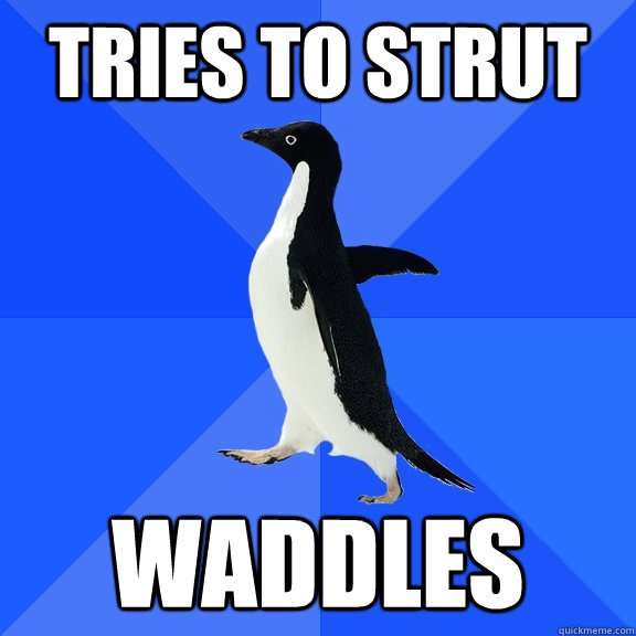 Tries to strut Waddles  Socially Awkward Penguin