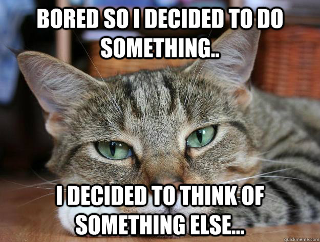 Bored so I decided to do something.. I decided to think of something else...  Bored cat