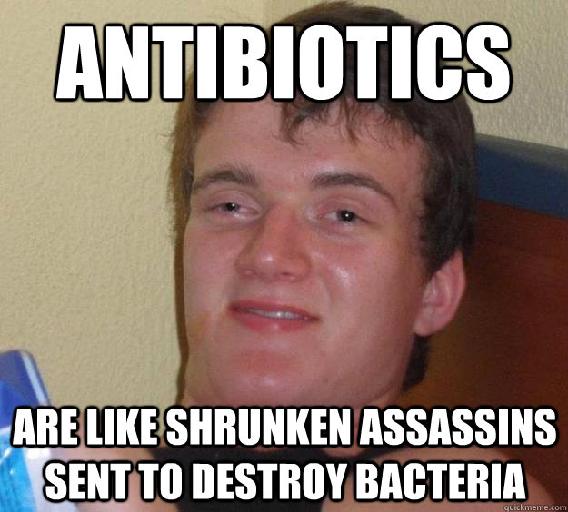 Antibiotics are like shrunken assassins sent to destroy bacteria  10 Guy