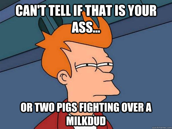 Can't tell if that is your ass... Or two pigs fighting over a milkdud  Futurama Fry