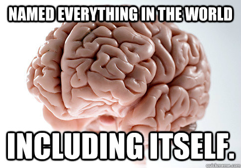 Named everything in the world Including itself.  Scumbag Brain