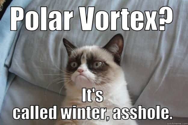 grumpy winter cat - POLAR VORTEX? IT'S CALLED WINTER, ASSHOLE. Grumpy Cat