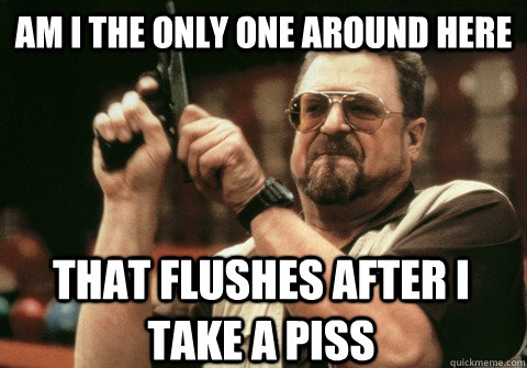 Am I the only one around here that flushes after I take a piss - Am I the only one around here that flushes after I take a piss  Am I the only one