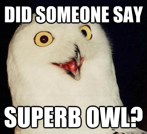 Did someone say Superb Owl? - Did someone say Superb Owl?  Superb Owl