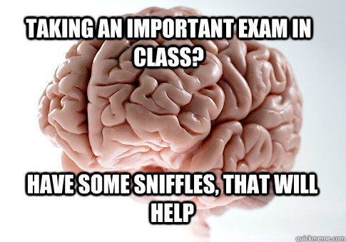 Taking an important exam in class? Have some sniffles, that will help   Scumbag Brain