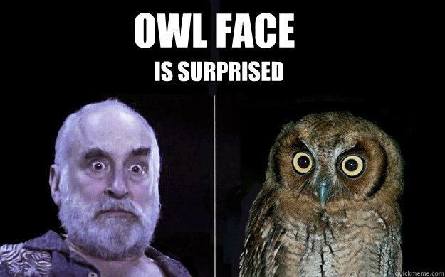 owl face is surprised - owl face is surprised  owl face