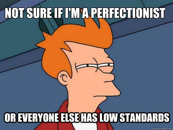 not sure if I'm a perfectionist or everyone else has low standards - not sure if I'm a perfectionist or everyone else has low standards  Futurama Fry