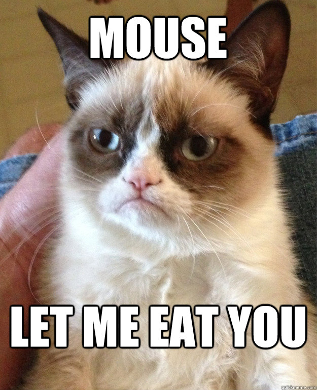 Mouse Let me eat you  Grumpy Cat