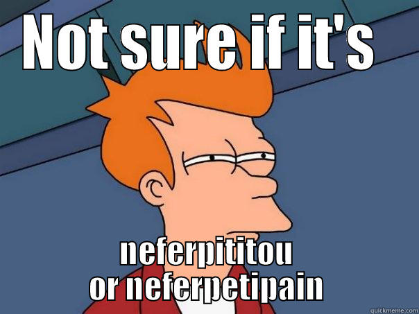 NOT SURE IF IT'S  NEFERPITITOU OR NEFERPETIPAIN Futurama Fry
