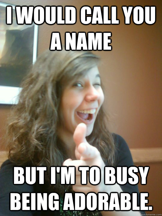 I would call you a name But I'm to busy being adorable. - I would call you a name But I'm to busy being adorable.  Reasonable Emily