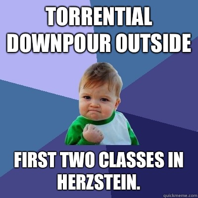 Torrential downpour outside First two classes in Herzstein.   Success Kid