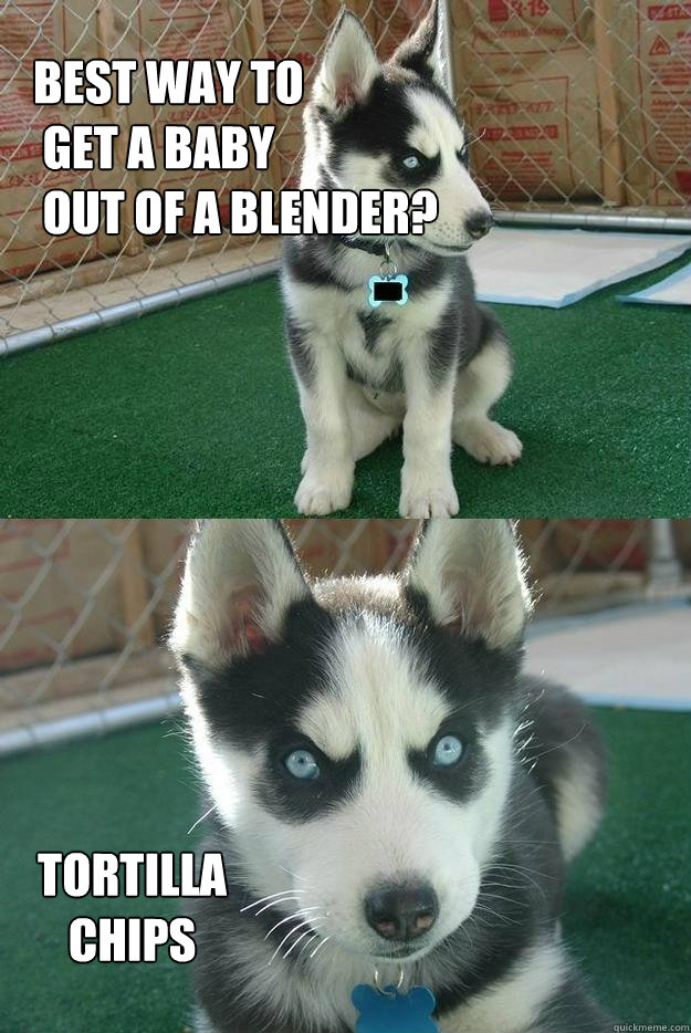 Best way to
 get a baby
 out of a blender? Tortilla
Chips  Insanity puppy