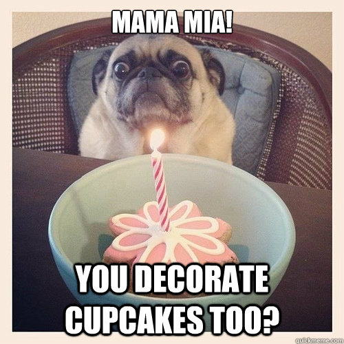 Mama Mia! You decorate cupcakes too? - Mama Mia! You decorate cupcakes too?  Scared birthday pug