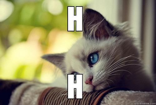 H H First World Problems Cat