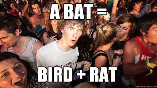 A bat = Bird + rat  Sudden Clarity Clarence