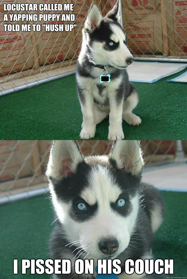 Locustar called me
a yapping puppy and
told me to 