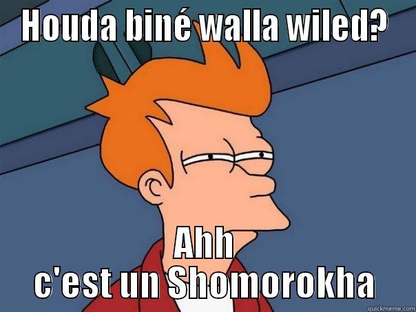 HOUDA BINÉ WALLA WILED? AHH C'EST UN SHOMOROKHA Futurama Fry