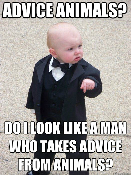 Advice Animals? Do I look like a man who takes advice from animals?  Baby Godfather