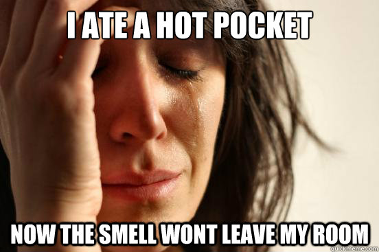 I ate a hot pocket now the smell wont leave my room  First World Problems