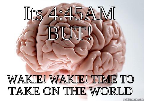 4:45AM YES!! - ITS 4:45AM BUT! WAKIE! WAKIE! TIME TO TAKE ON THE WORLD Scumbag Brain
