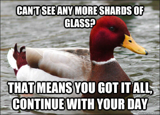 CAN'T SEE ANY MORE SHARDS OF GLASS? THAT MEANS YOU GOT IT ALL, CONTINUE WITH YOUR DAY  Malicious Advice Mallard