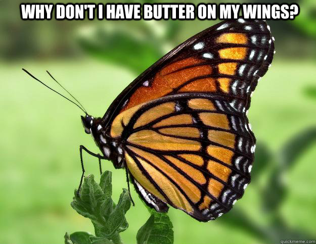 why don't I have butter on my wings?   Confused Butterfly
