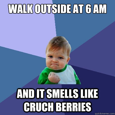 Walk outside at 6 am and it smells like cruch berries   Success Kid
