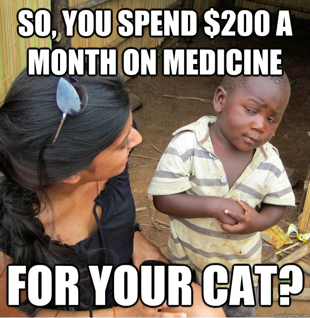 So, you spend $200 a month on medicine For your cat?  Skeptical Third World Kid