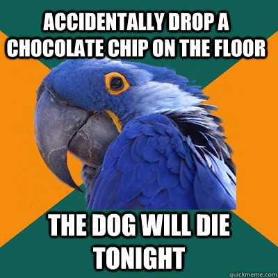 ACCIDENTALLY DROP A CHOCOLATE CHIP ON THE FLOOR THE DOG WILL DIE TONIGHT  Paranoid Parrot
