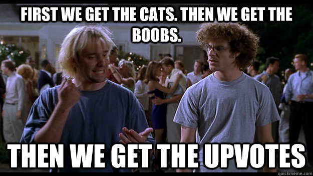 FIRST WE GET THE CATS. THEN WE GET THE BOOBS. THEN WE GET THE UPVOTES - FIRST WE GET THE CATS. THEN WE GET THE BOOBS. THEN WE GET THE UPVOTES  BASEKETBALL MEME