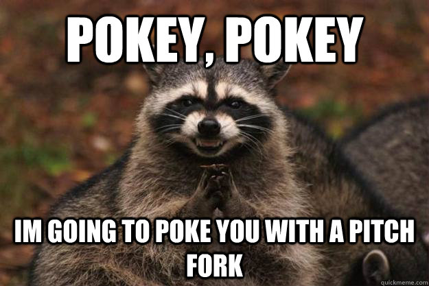 POKEY, POKEY IM GOING TO POKE YOU WITH A PITCH FORK  Evil Plotting Raccoon